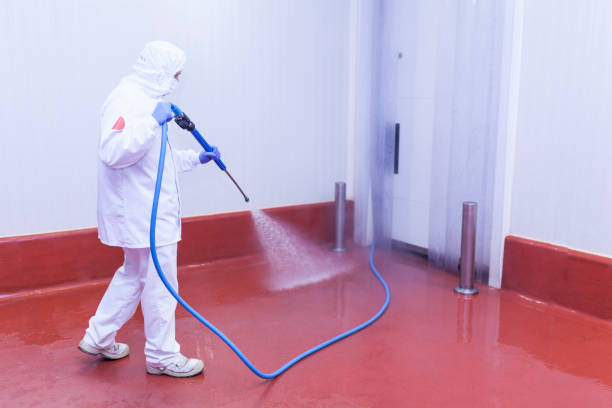 Boat and Dock Cleaning in Rochester, NH